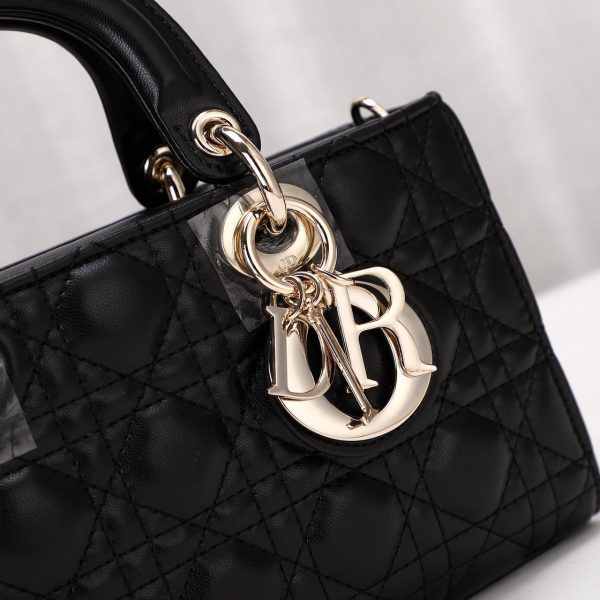 New Arrival DO handbag 101