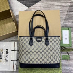 New Arrival GG handbag 489