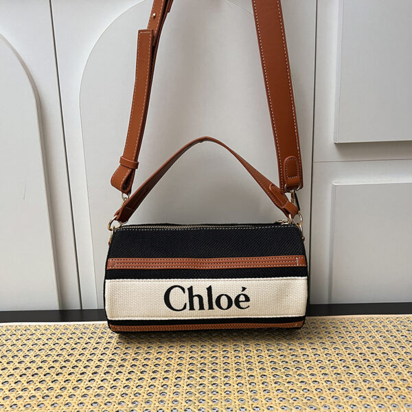 New Arrival Chloe handbag 008