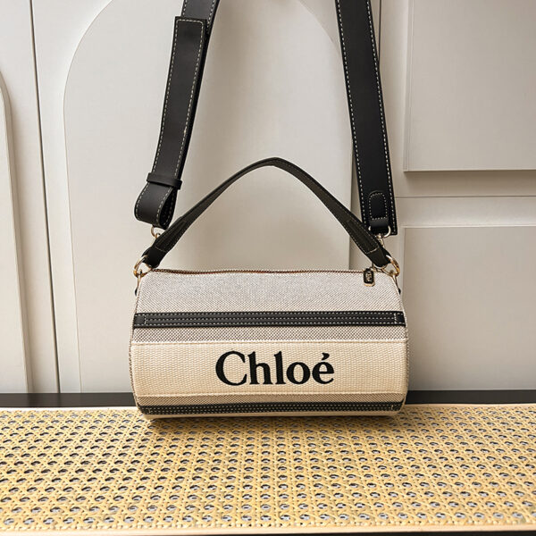 New Arrival Chloe handbag 008