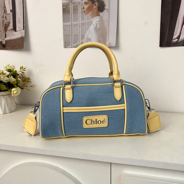 New Arrival Chloe handbag 014